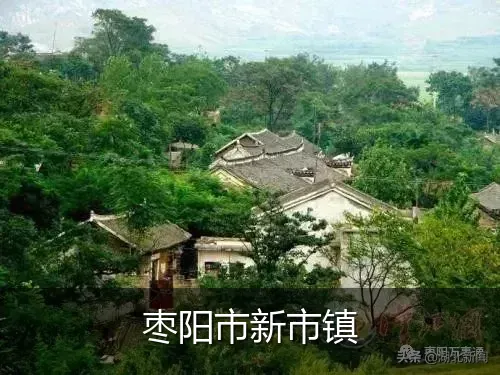 枣阳市新市镇