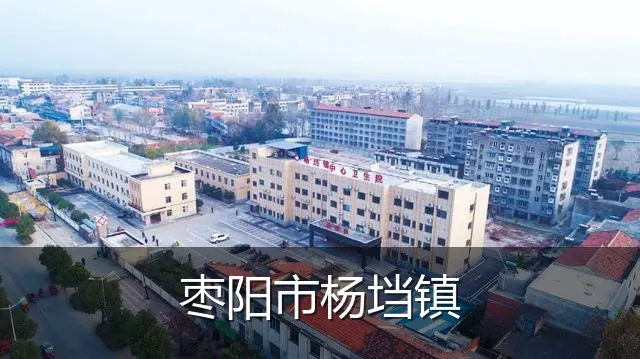 枣阳市杨垱镇