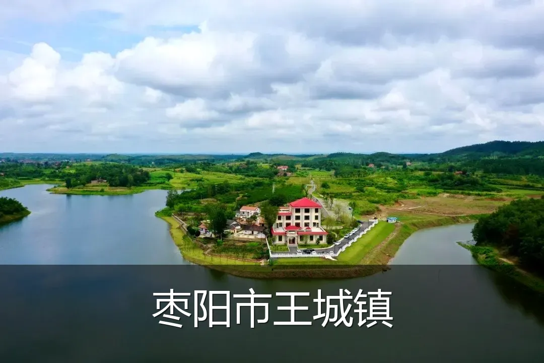 枣阳市王城镇