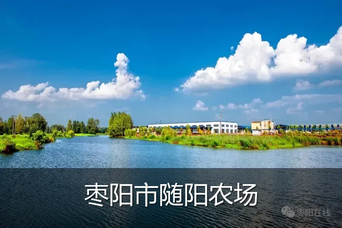 枣阳市随阳农场
