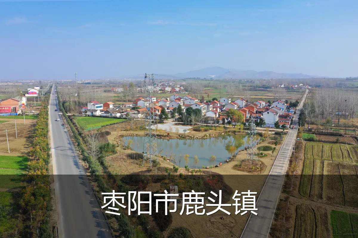 枣阳市鹿头镇